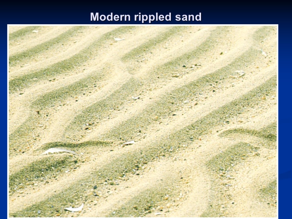 Modern rippled sand